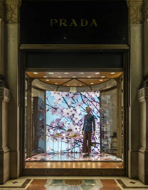 prada allestimento vetrina|Blossom: le vetrine dell’artista Thomas Demand per Prada.